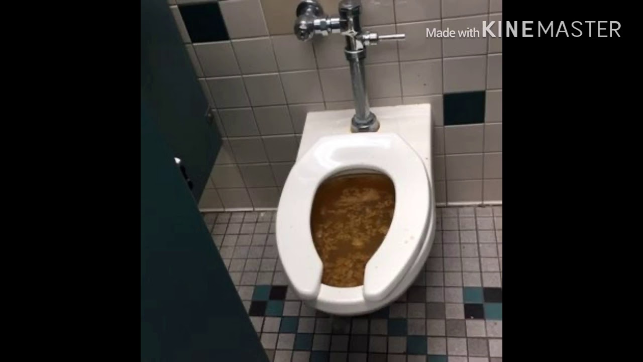 Poop covered in white White specks in stool Causes, treatment, and tips