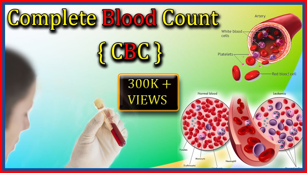 Bloodwork hct Hematocrit Test MedlinePlus Medical Test