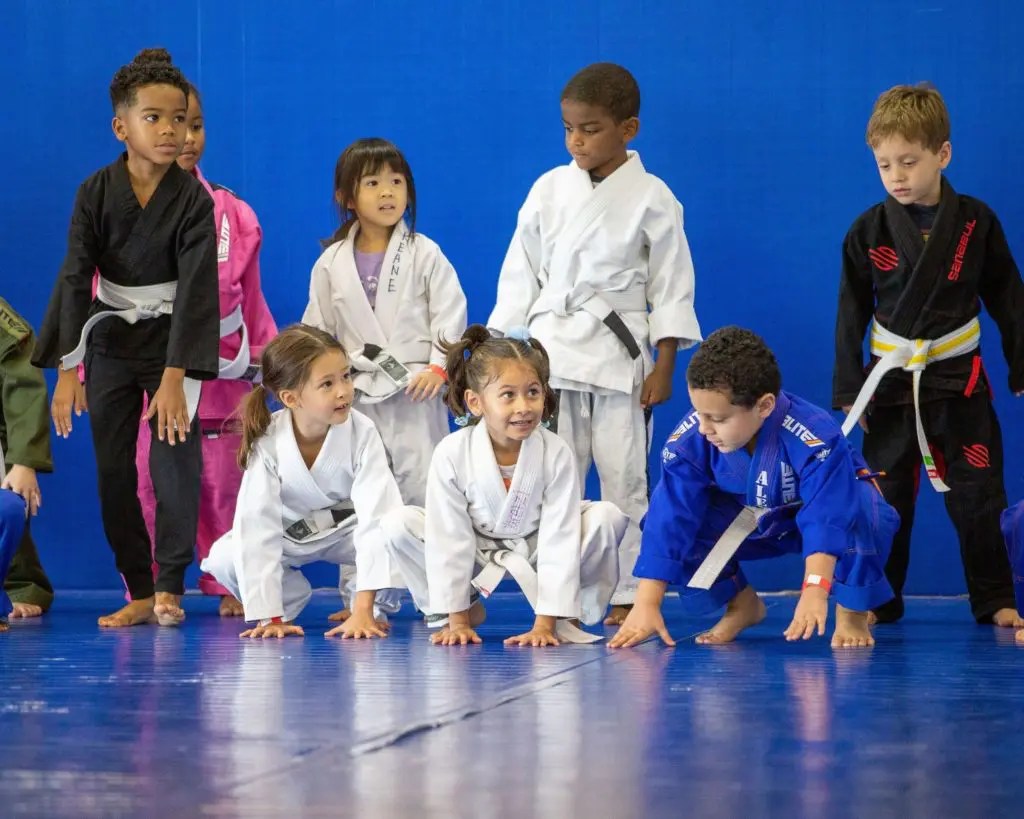 MMA Houston Elite MMA Mixed Martial Arts Classes & Programs