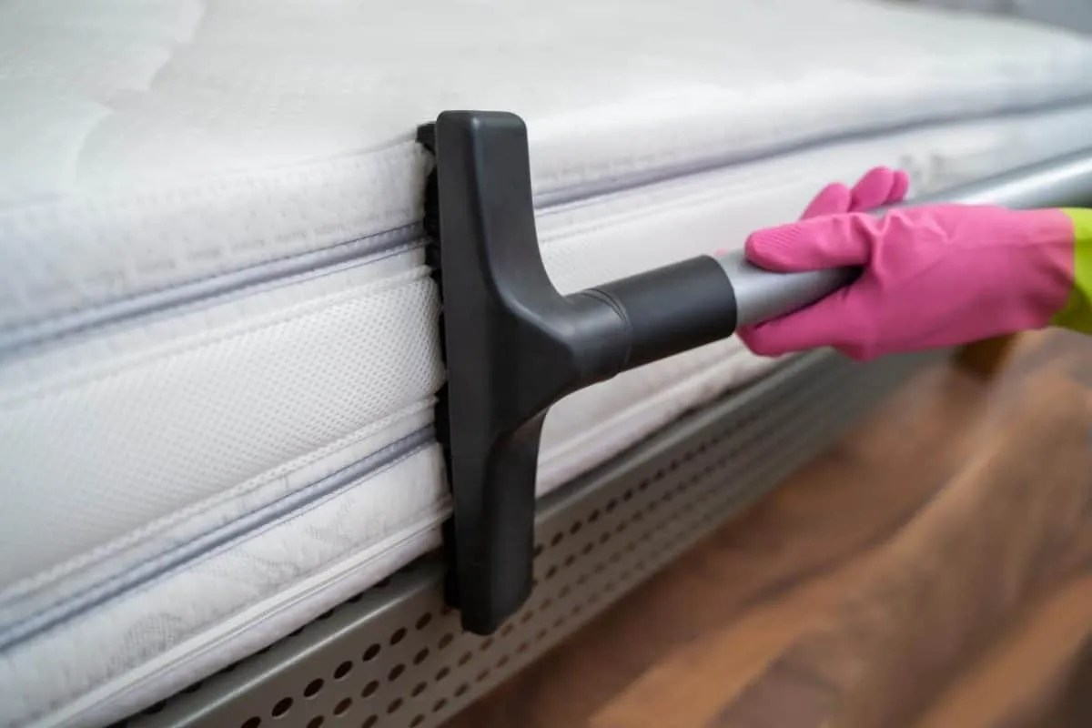 Tips & Benefits How to Clean Mattresses Elite Dry Cleaning