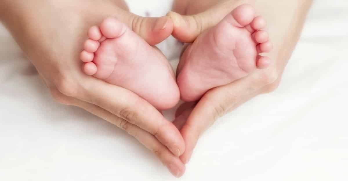 Find Out How a Baby Can Have Three Biological Parents Elite Readers