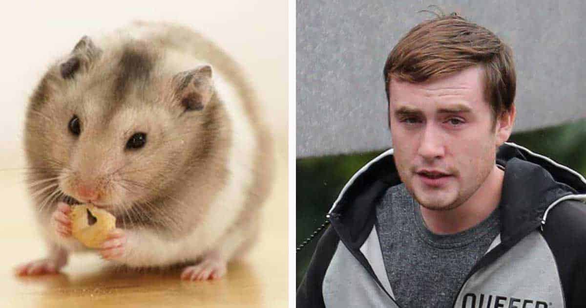 man kills hamster Elite Readers