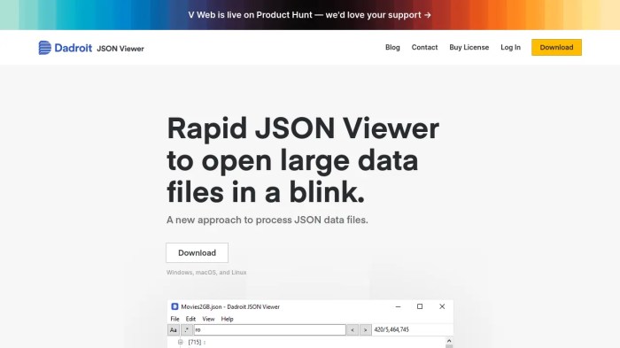 Dadroit Viewer下载|Dadroit JSON Viewer(json文件编辑器) 电脑免费版v1.1.1407 下载_当游网