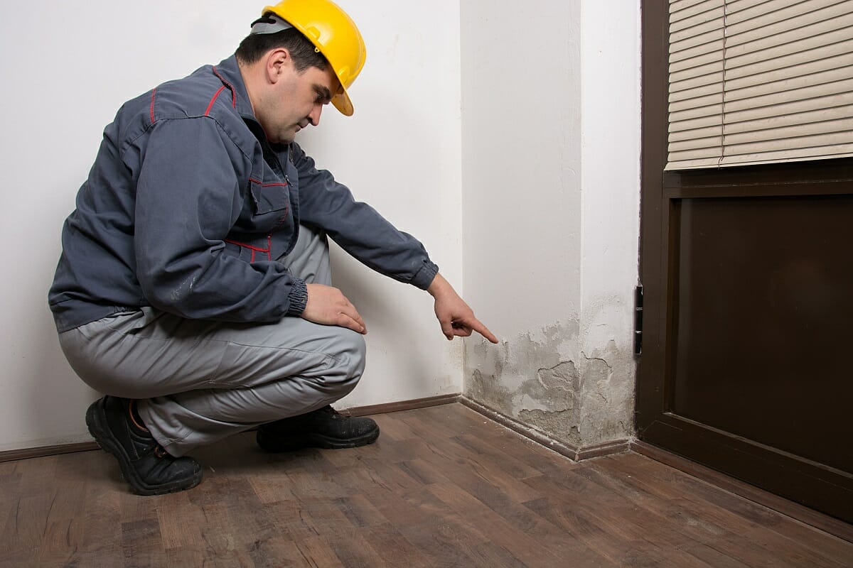 Damp Proofing Services in London Elite Builders London Ltd