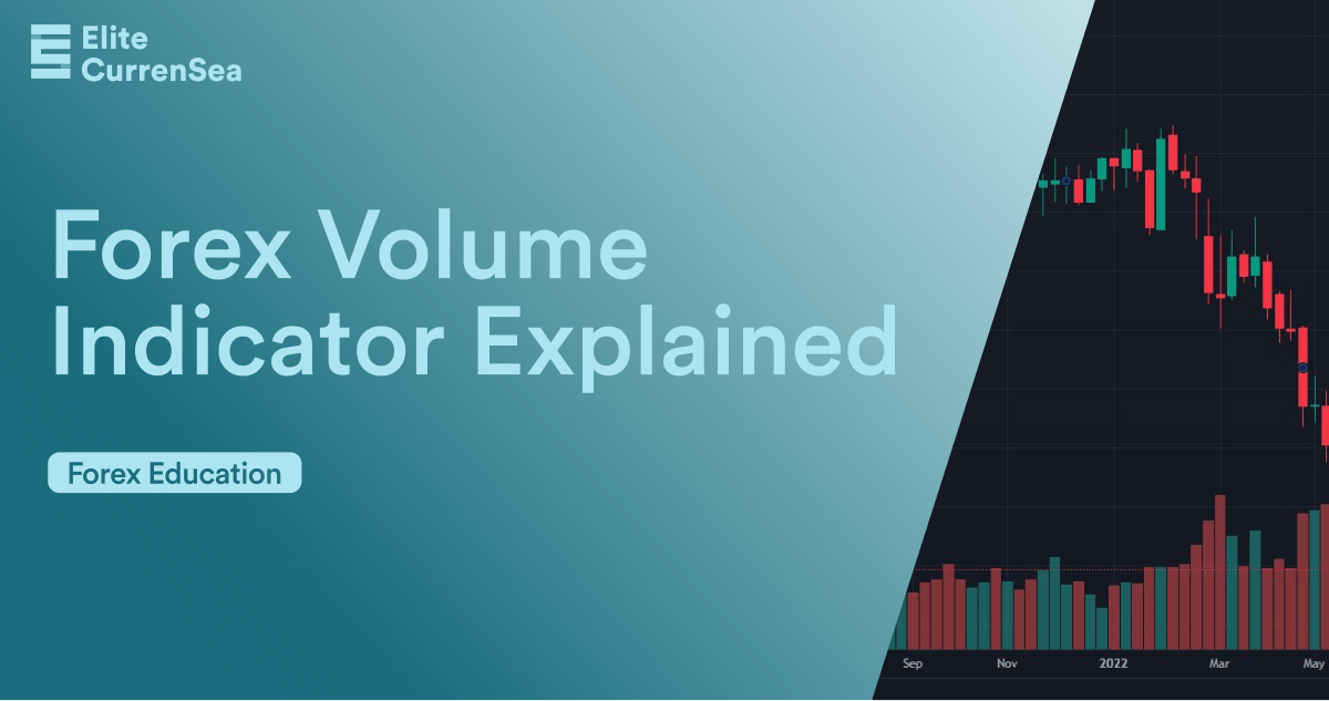 FX Volume Indicator Explained ECS Elite CurrenSea