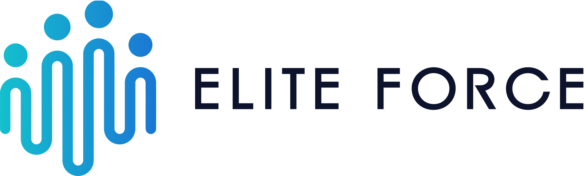 Elite Force Consultancy