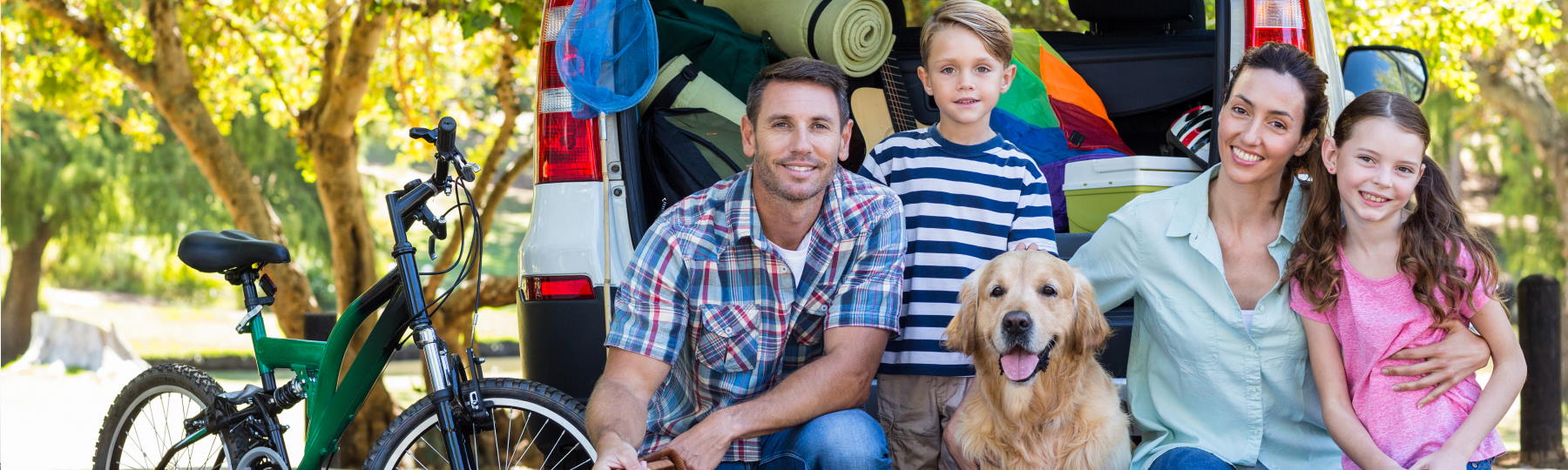 Auto, Car, Commercial Auto, Life, Business, Home Insurance in Wheat