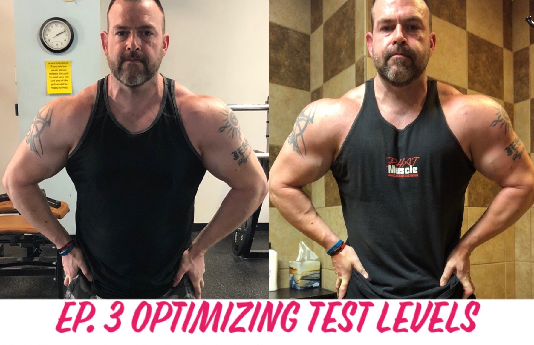Ep. 3 Optimizing testosterone levels Elite Physique University