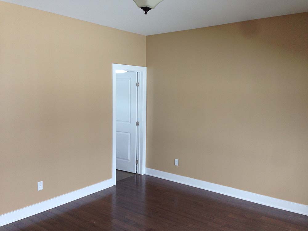 Photo Gallery Elite Pro Painting