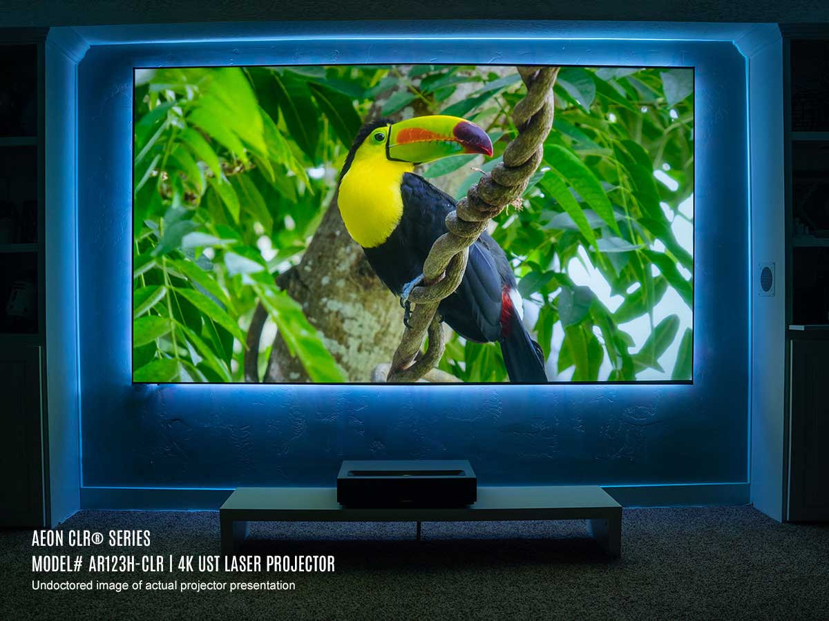 Why WallMounted Projector Screens are the Future of Home Cinema