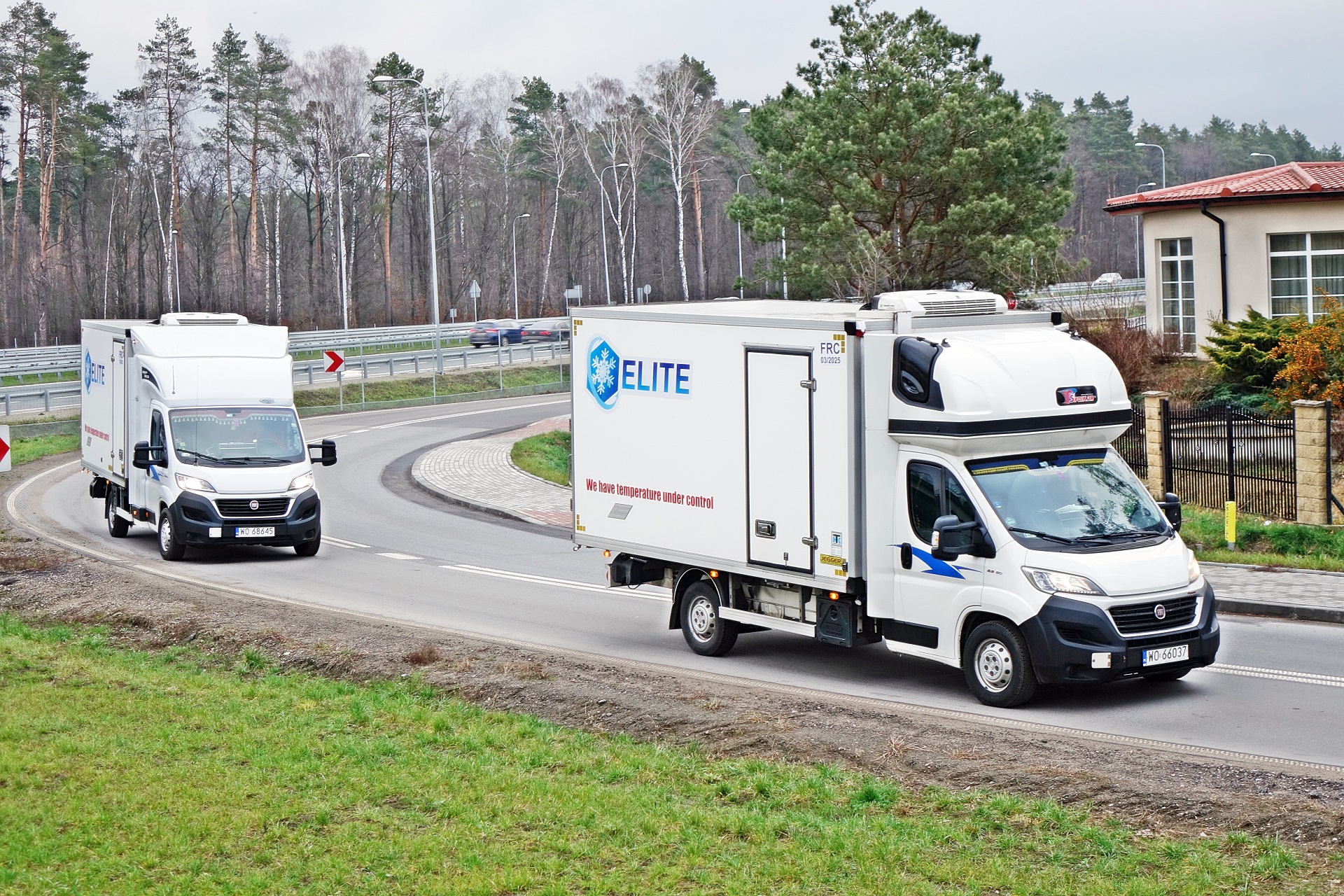 Elite Transport DAS ANGEBOT