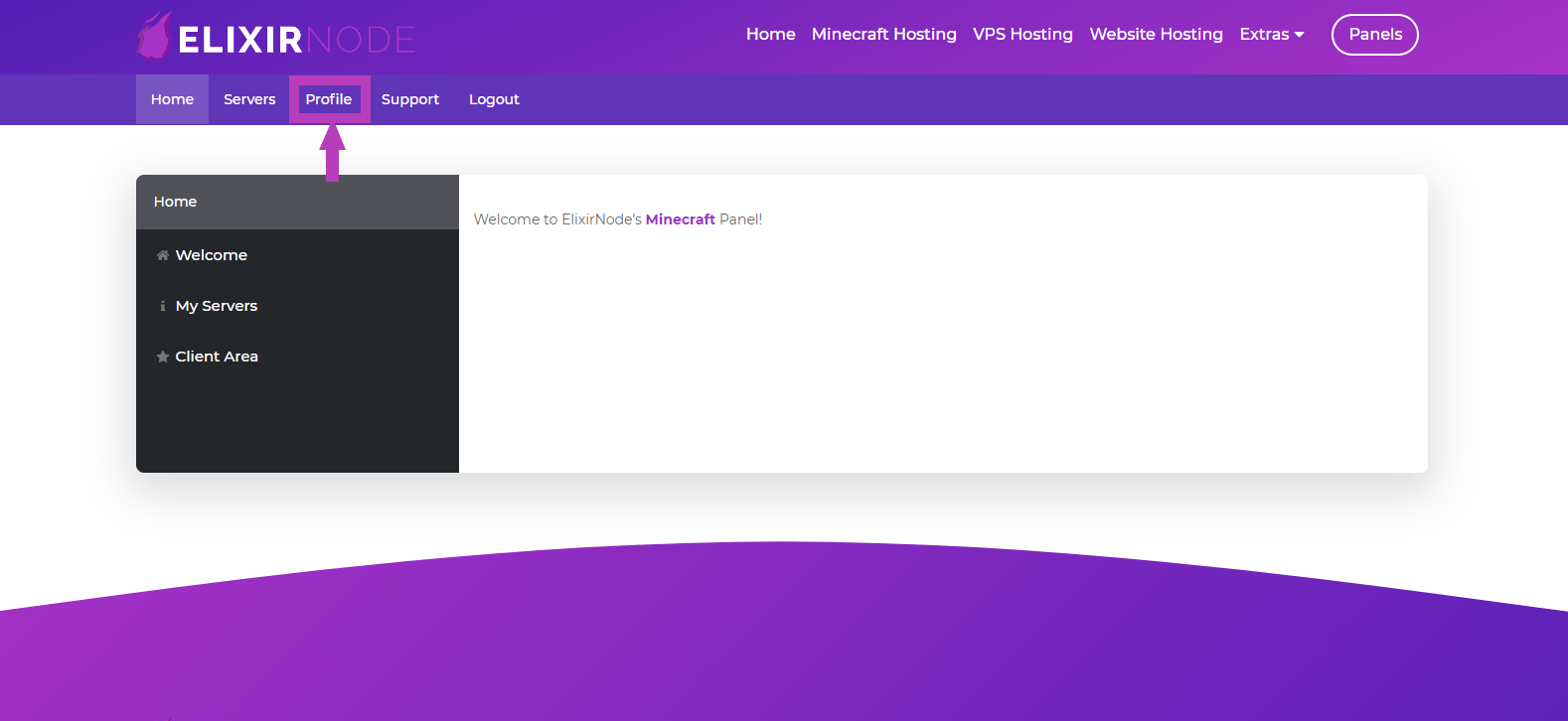 How to change the email of your Minecraft server control panel account