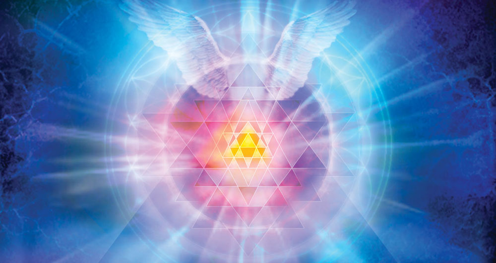 Elizabeth Foley, Ph.D. ⋆ Lightarian Angel Link Program