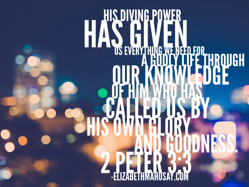 Everything We Need ELizabeth Mahusay