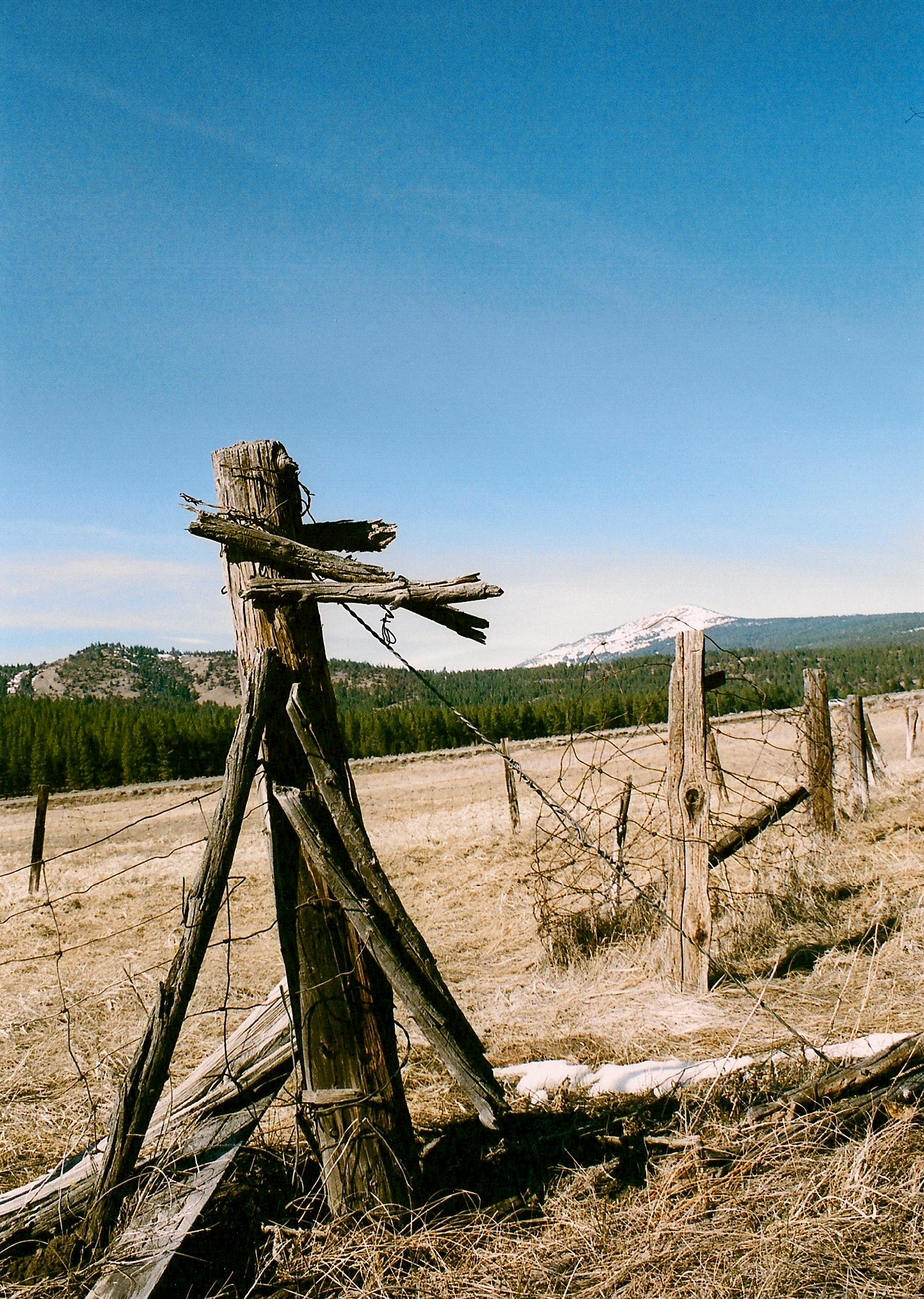 GRASS LAKE, CALIFORNIA II ONCE UPON A TIME IN THE WEST