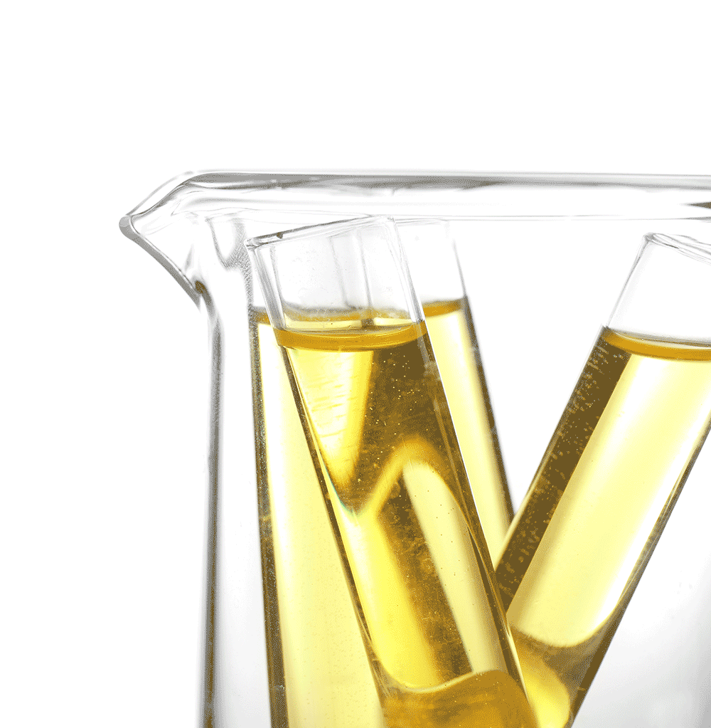 Dutch Hormone Tests Elizma Lambert