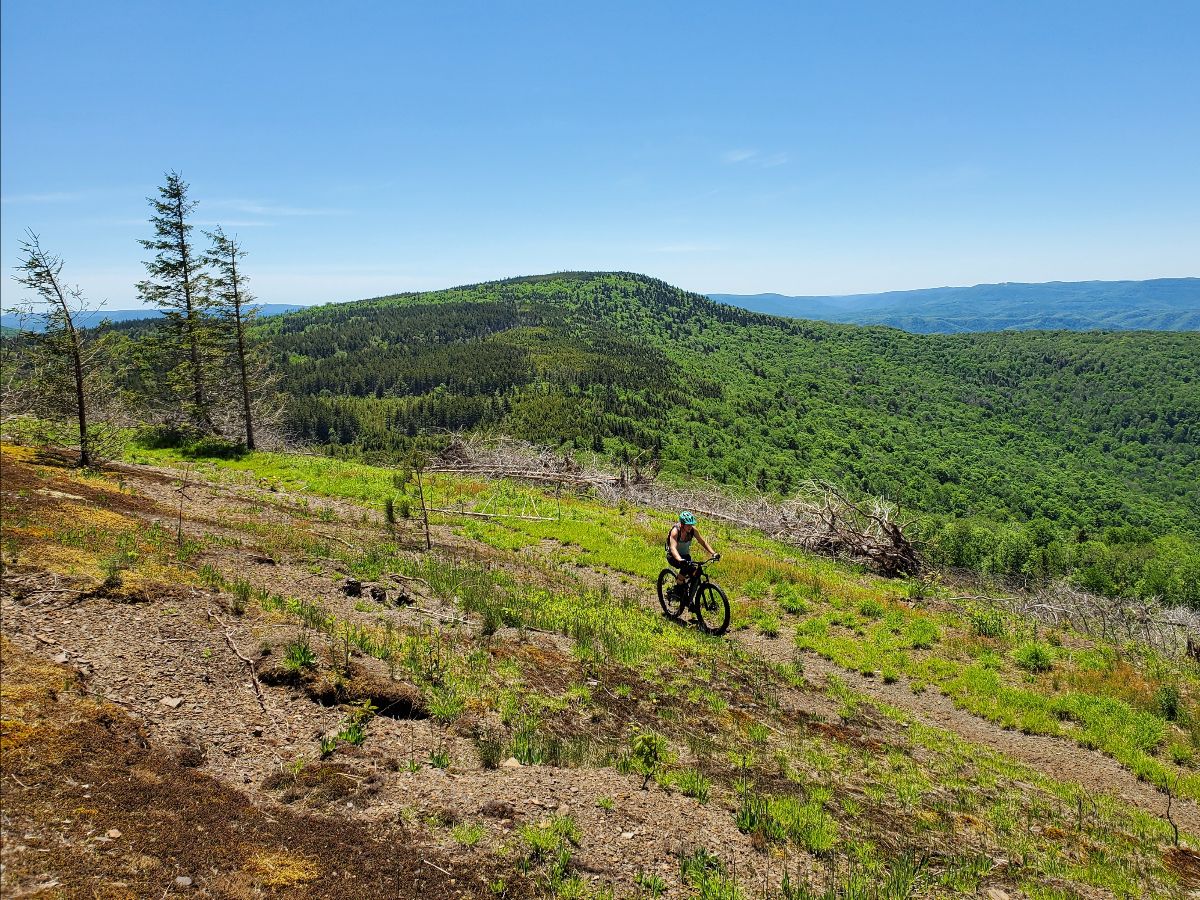 The Elkins Depot Dispatch (June 2021) Elkins Depot Center