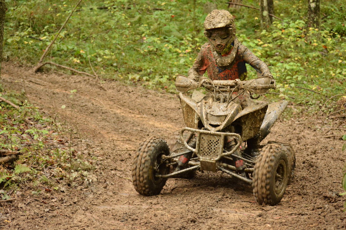Mountain State Forest Festival 2022 Elkins, WV Eventlas