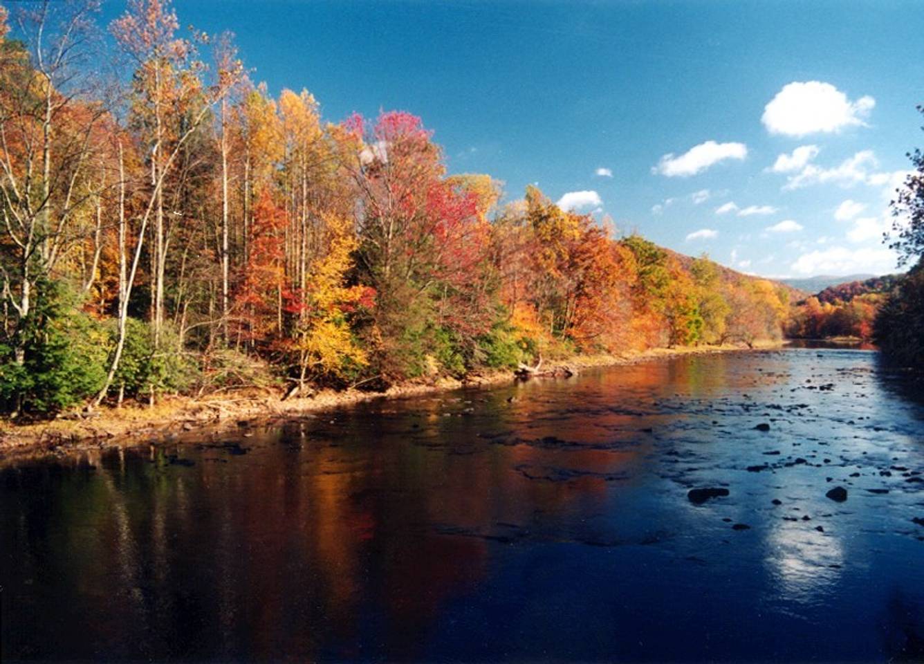 Shavers Fork of the Cheat ElkinsRandolph County Tourism