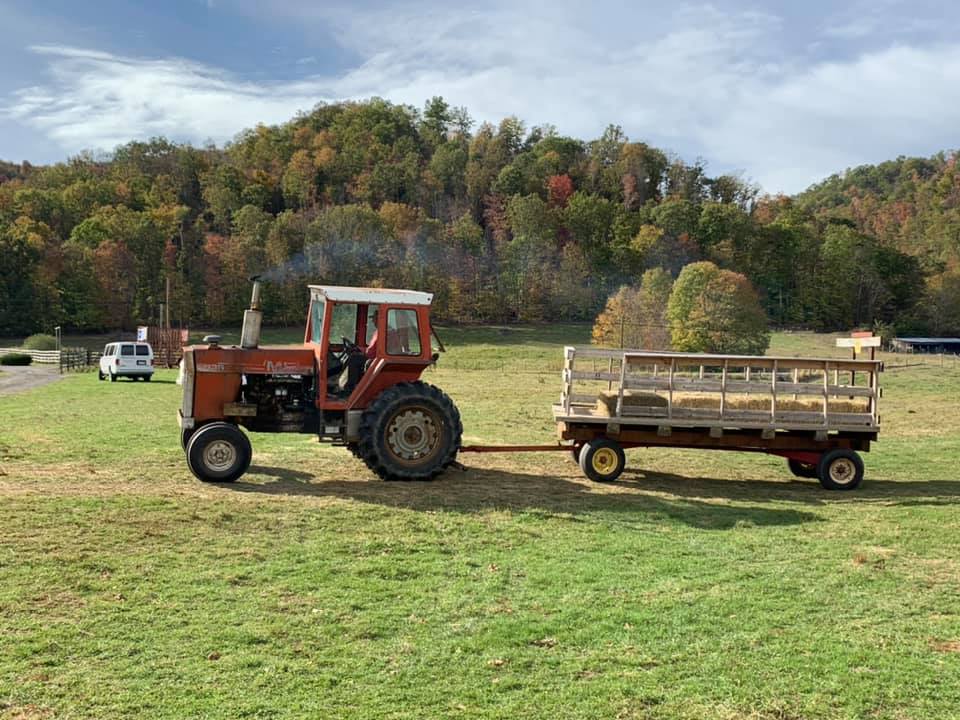 Snyder Farms Corn Maze & Pumpkin PatchEverything You Need to Know