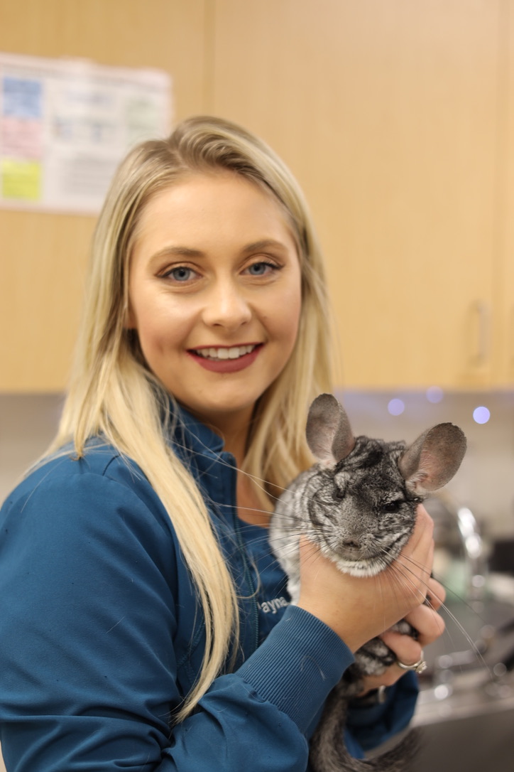 Bird Pocket Pet & Exotic Animal Vet Allegheny Veterinary Services