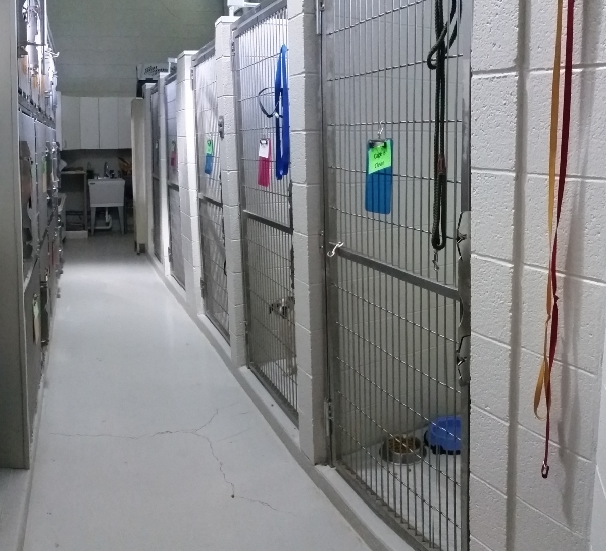 Tour Allegheny Veterinary Services Randolph County WV Veterinarian