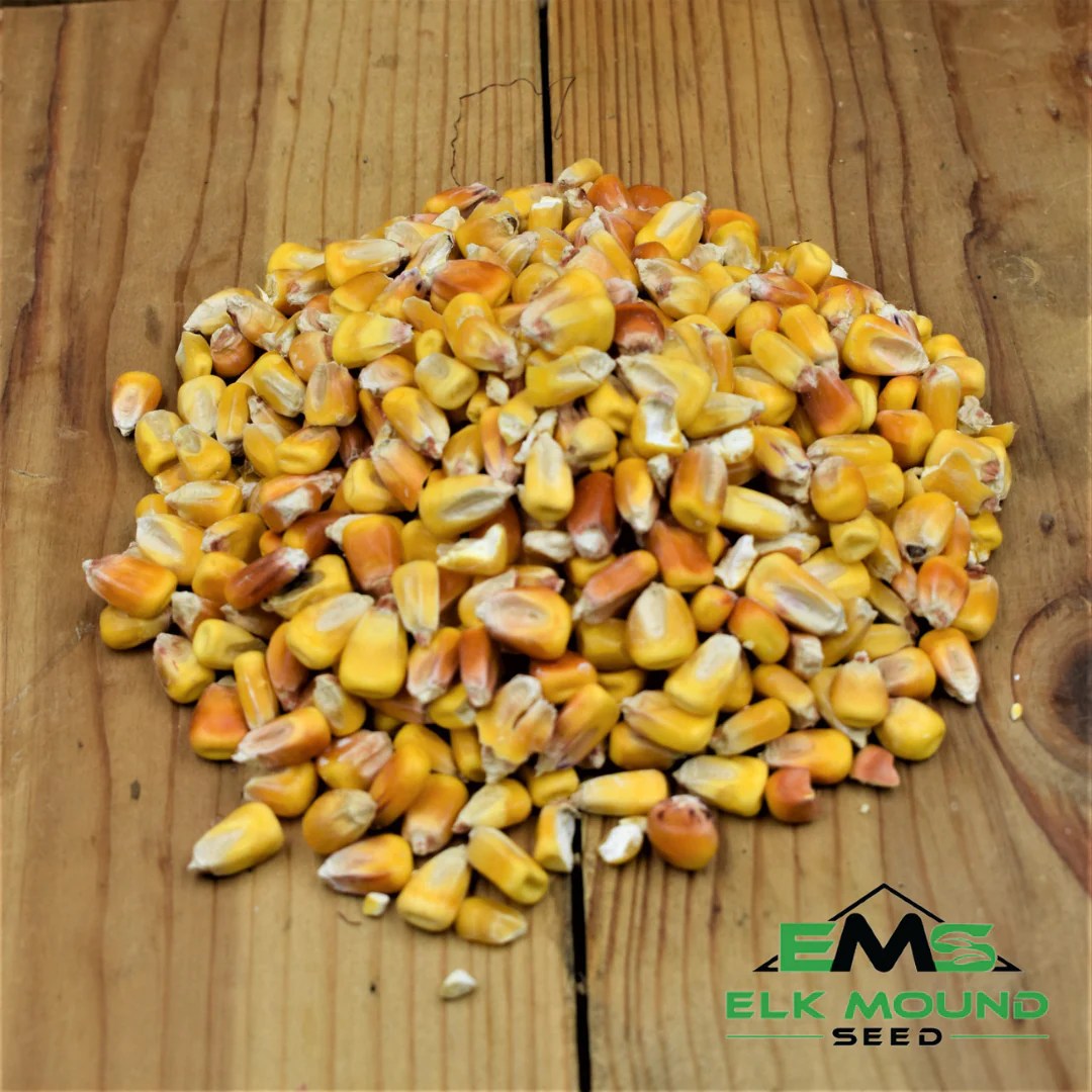 Buy Shell Corn Feed Elk Mound Seed