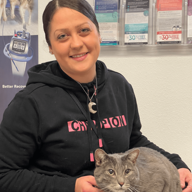 Veterinarian In Pagosa Springs, CO 81147 Elk Park Animal Hospital