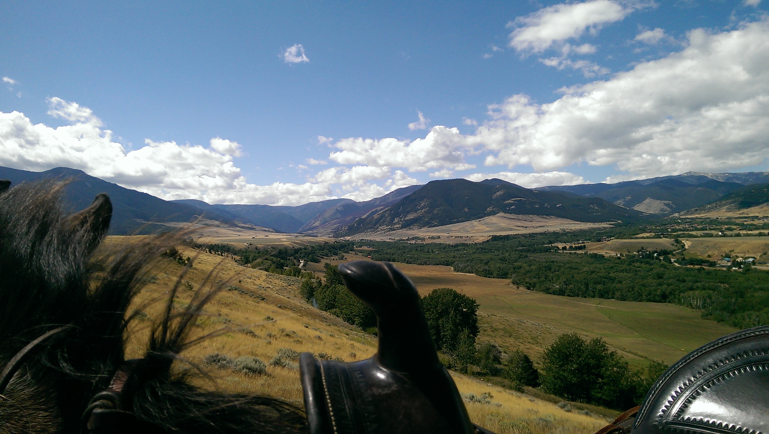 Elk River Outfitters Your Montana Experience