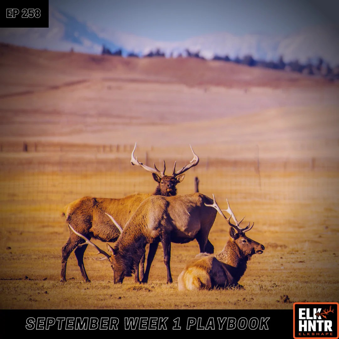Week 1 September Elk Hunting Strategy ElkShape