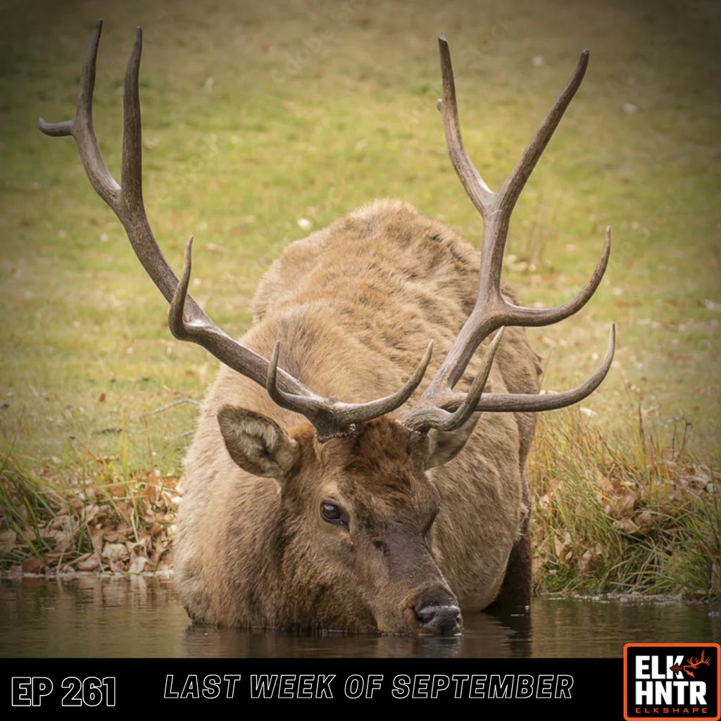 The LAST week of September ElkShape
