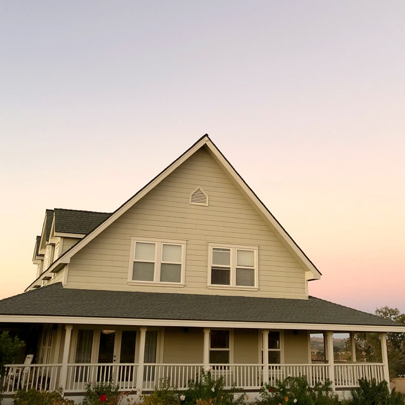 Home » Ella's Vineyard