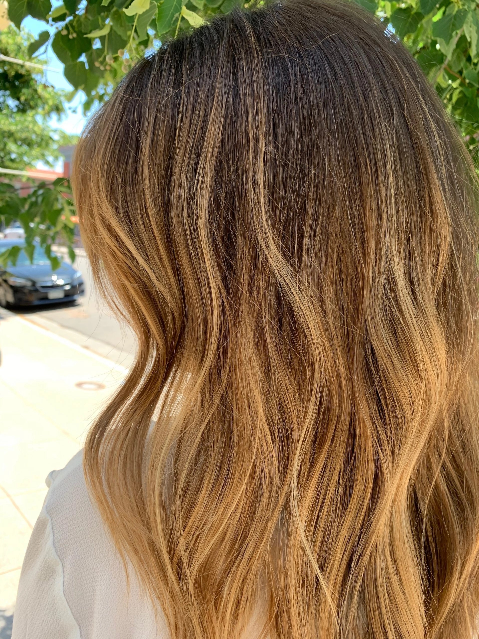 Denver and Lakewood Salon Services elle.b savvy