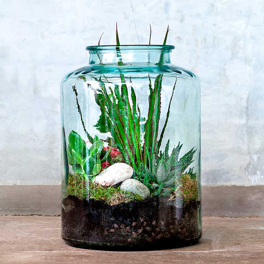 How to do terrariums ELLE Decoration UK