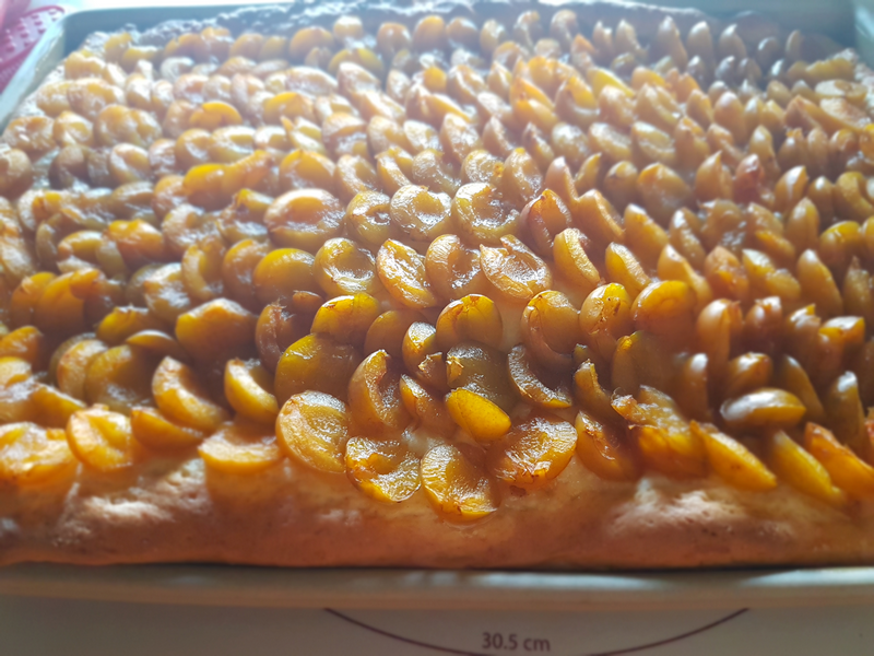 Ofenzauberer Rezepte