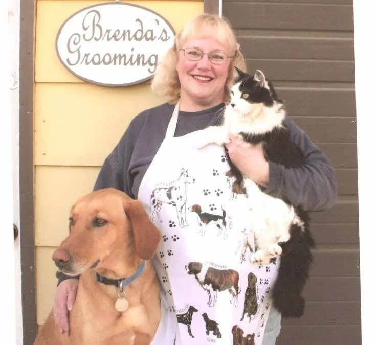 Animal Services Ellendale, ND