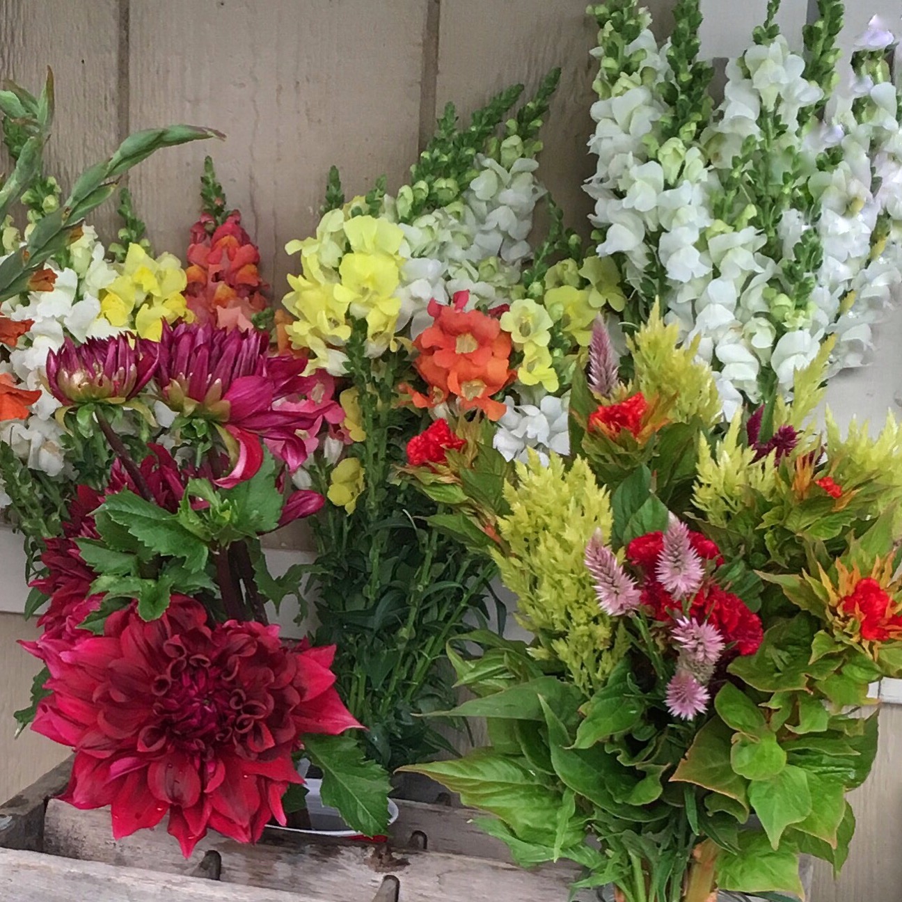 Flower Bouquets