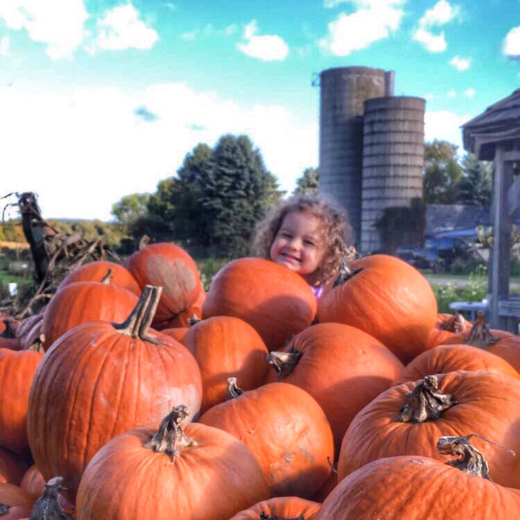 M in Pumpkins