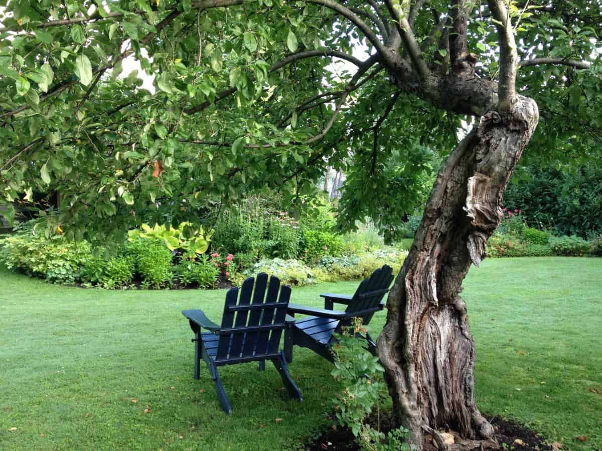 MidSummer Ritual for Kitchen Gardeners