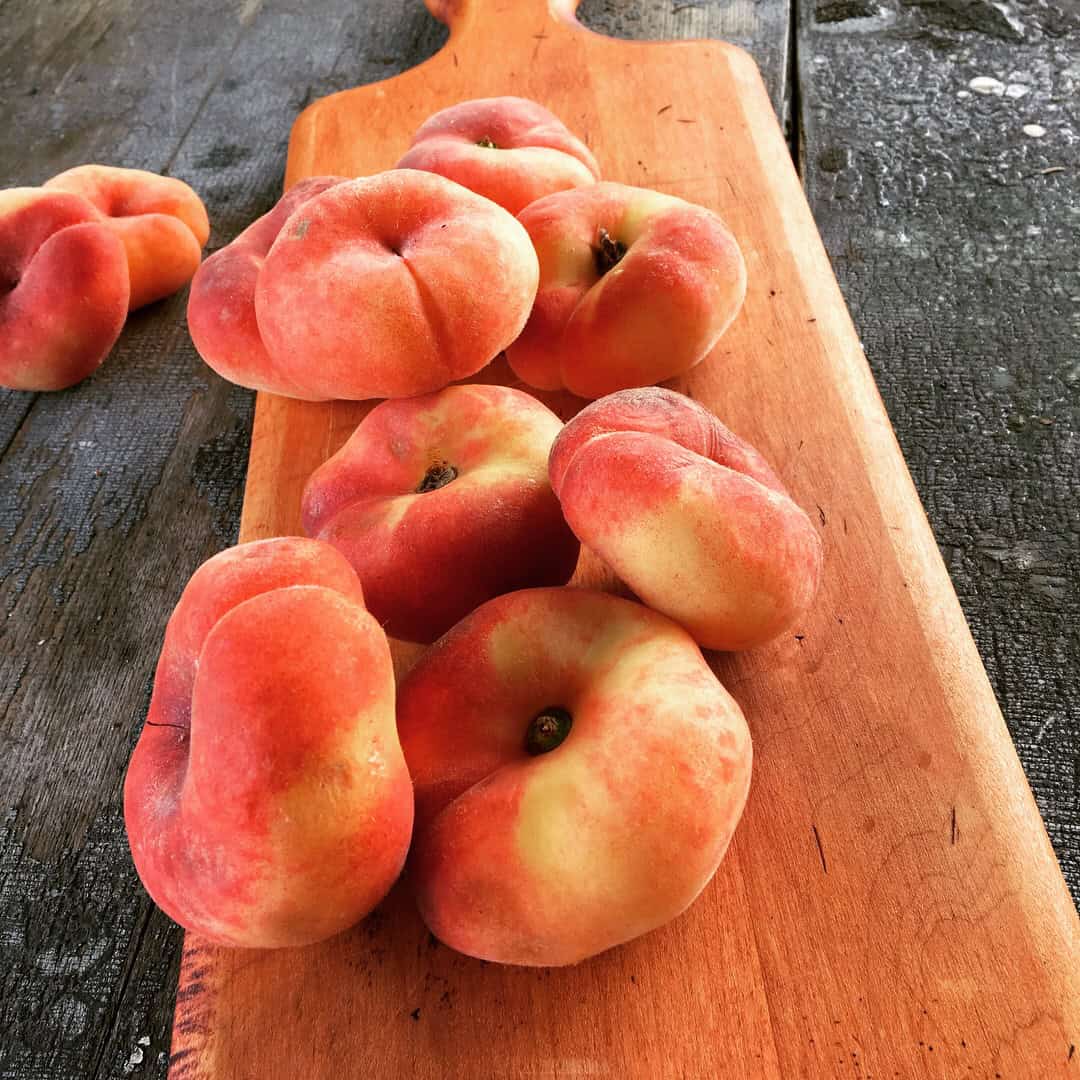 Ginger Peach Chutney Ellen Ecker Ogden