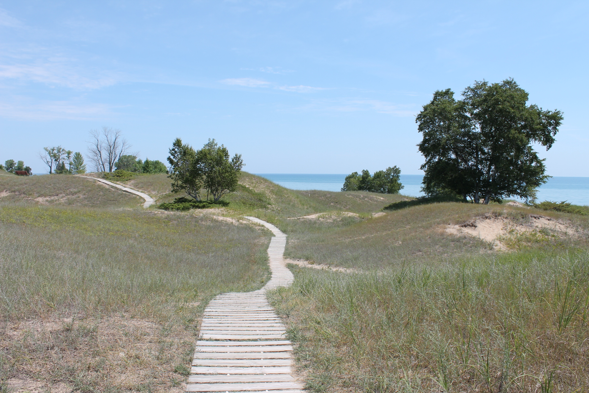 Gardens and Parks Poems From Oostburg, Wisconsin