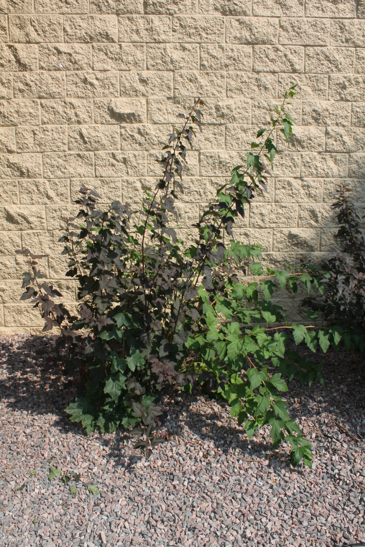 Veterans Park Poems From Oostburg, Wisconsin