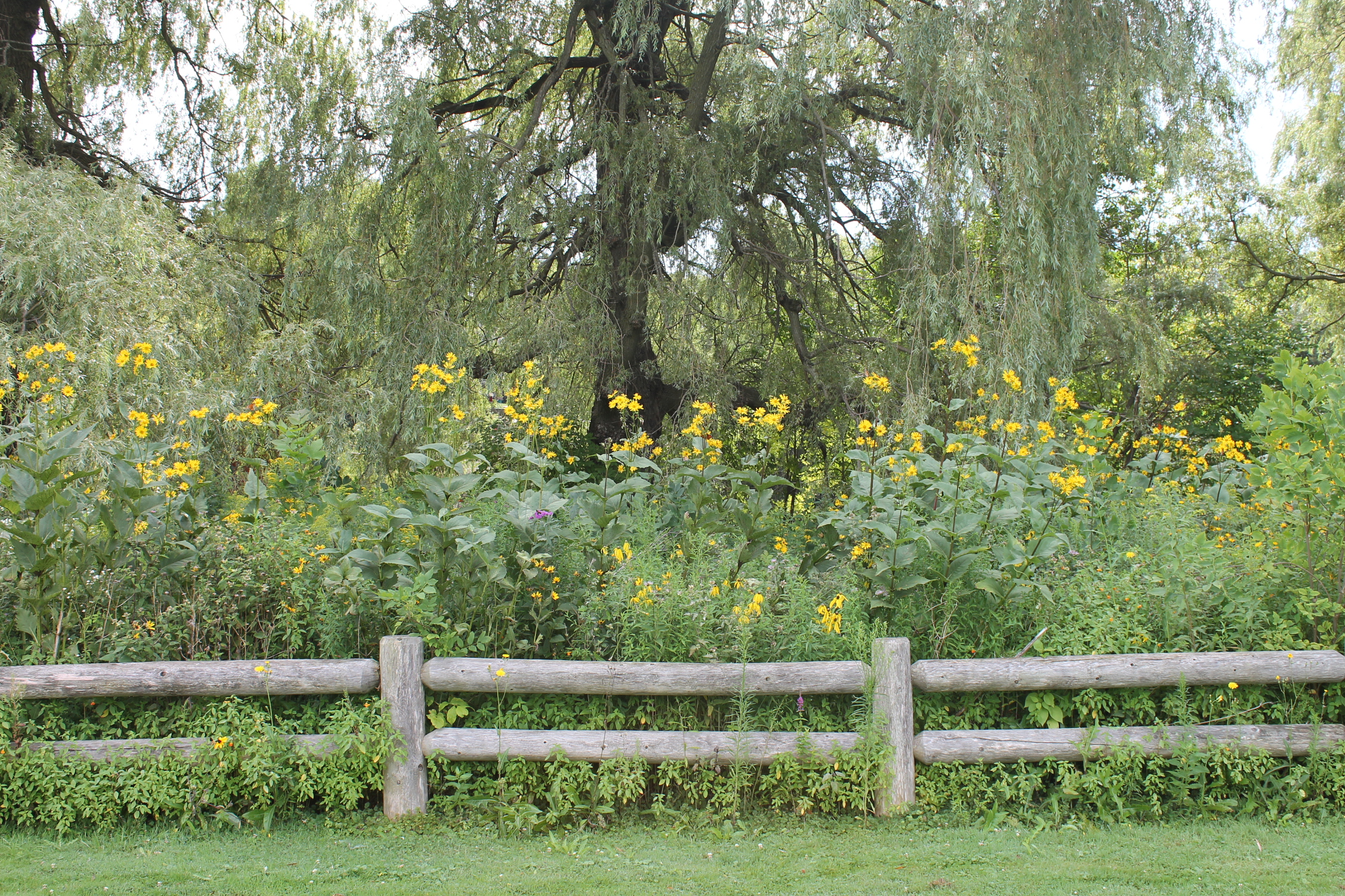 Kiwanis Park Poems From Oostburg, Wisconsin