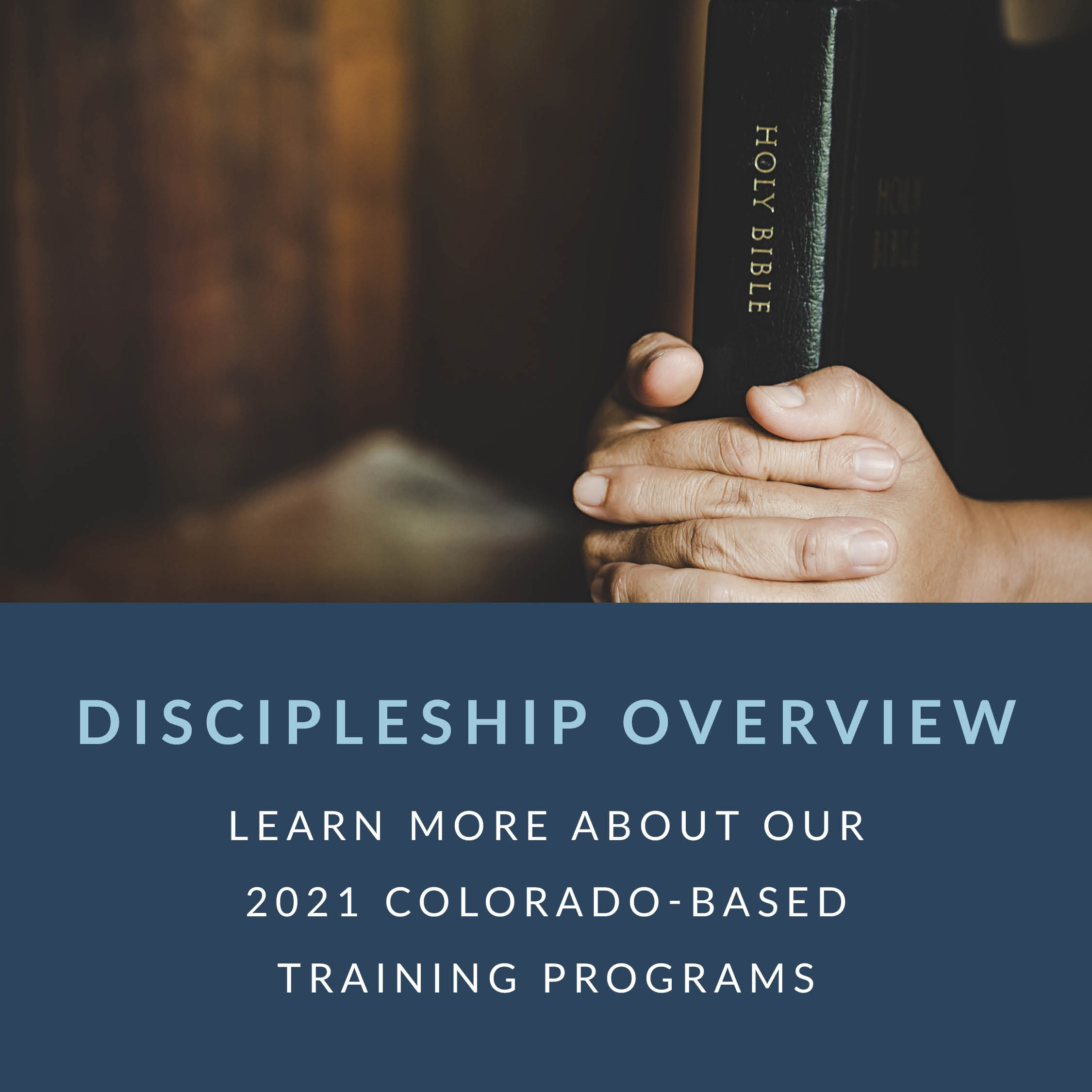 Ellerslie Online Training