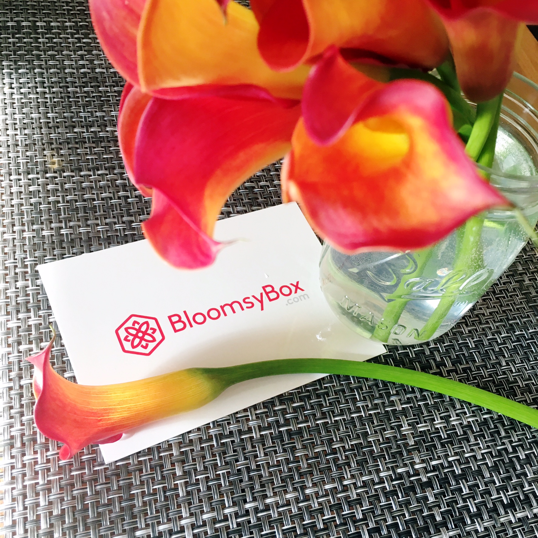 BloomsyBox Review Get Fresh Flowers to Your Doorstep Every Month