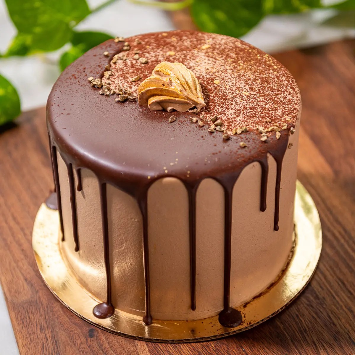 Chocolate Espresso Martini Cake Ellie's in Providence, RI