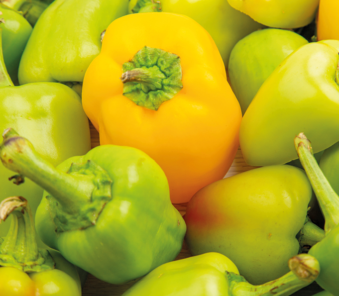 Bell peppers Grade fruit and vegetables with high speed and