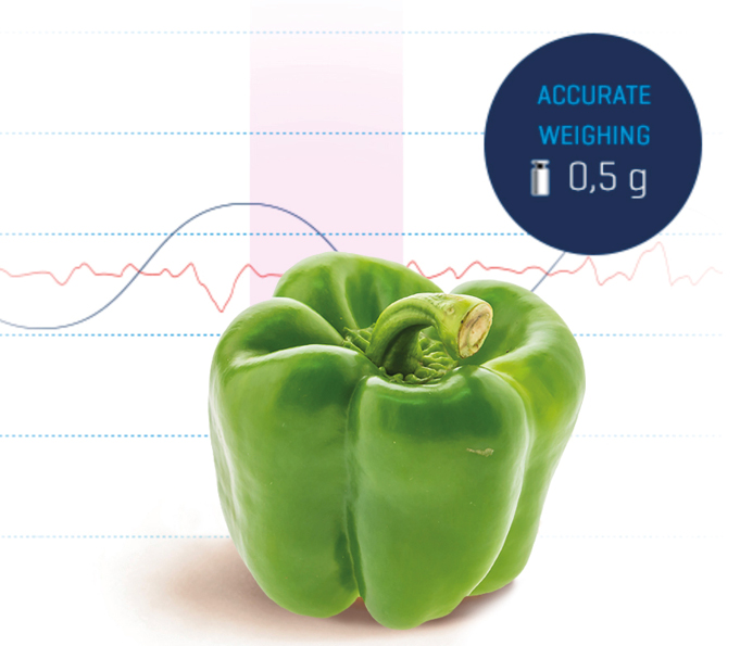 Bell peppers Grade fruit and vegetables with high speed and