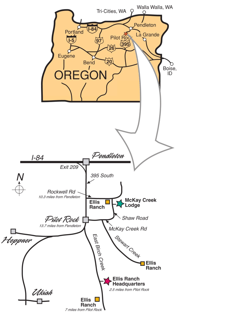 Contact Ellis Hunting Ranch