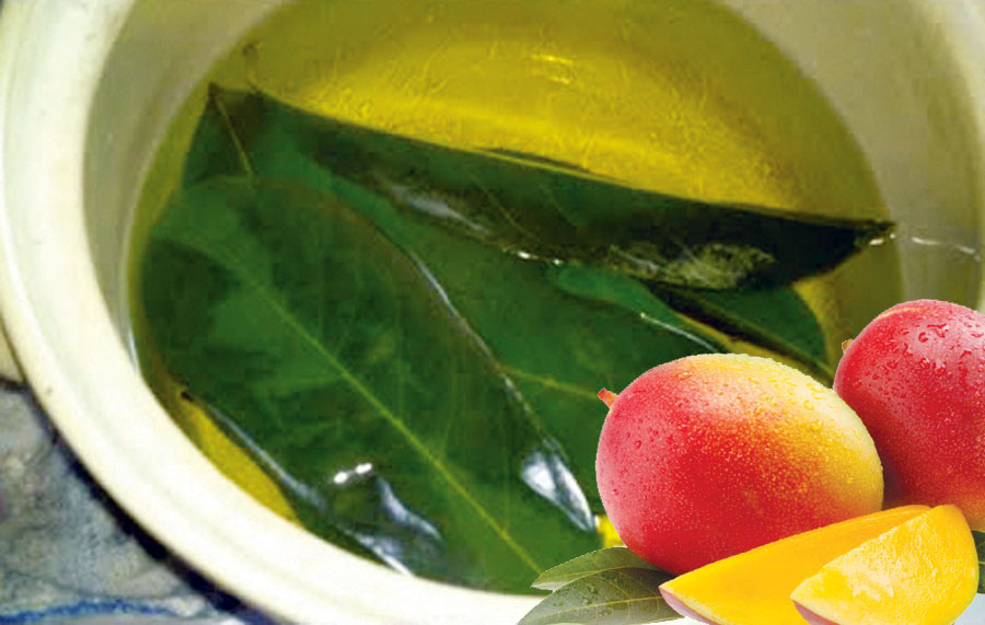 Té de hojas de mango contra la diabetes El Men